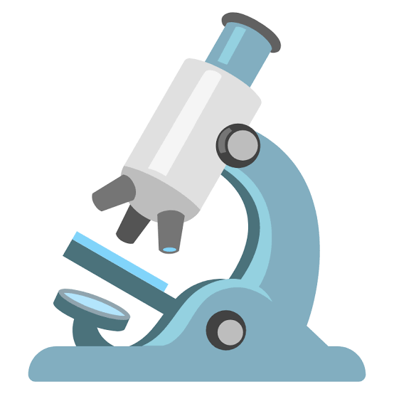 Science First